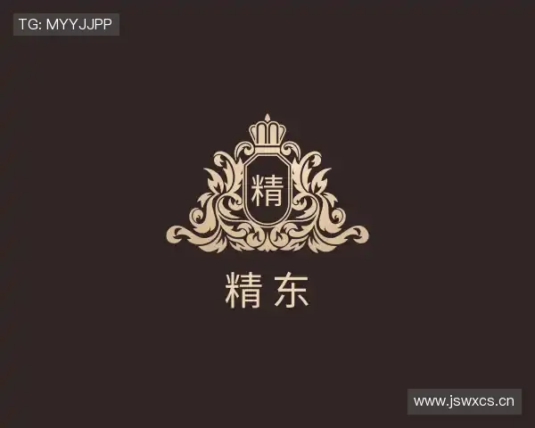 关于精东传媒